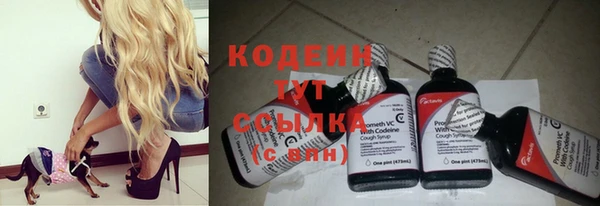 крисы Верхний Тагил