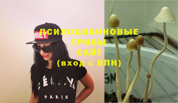 таблы Верея