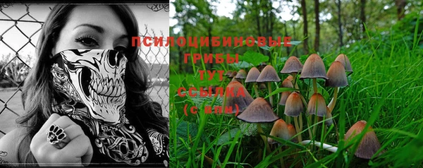 круглые Бронницы