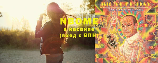амф Бородино