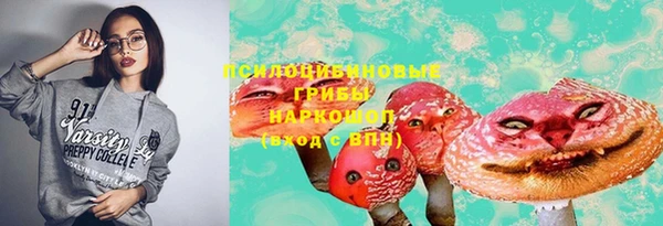 амф Бородино