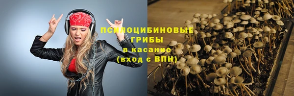 таблы Верея
