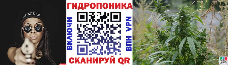 Купить закладки  Горячий Ключ  Шишки марихуана VHQ 